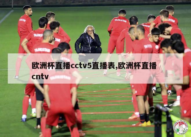 欧洲杯直播cctv5直播表,欧洲杯直播 cntv-第1张图片-