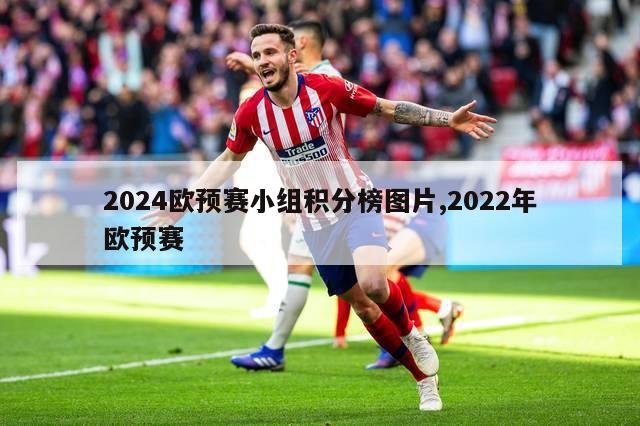 2024欧预赛小组积分榜图片,2022年欧预赛-第1张图片-