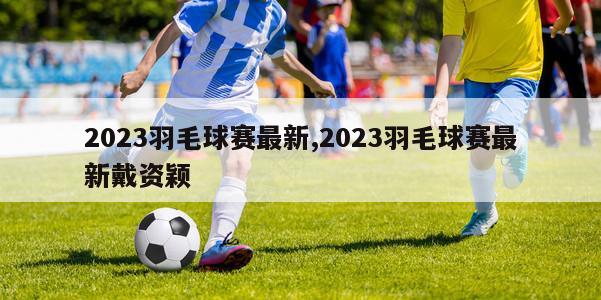 2023羽毛球赛最新,2023羽毛球赛最新戴资颖-第1张图片-