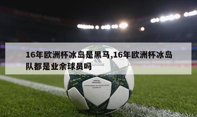 16年欧洲杯冰岛是黑马,16年欧洲杯冰岛队都是业余球员吗-第1张图片-