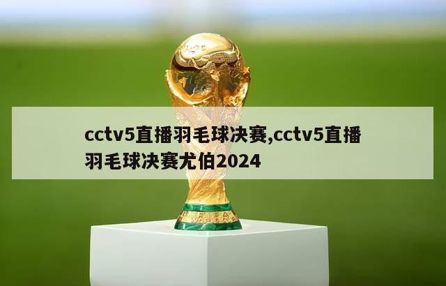 cctv5直播羽毛球决赛,cctv5直播羽毛球决赛尤伯2024-第1张图片-