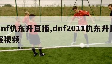 dnf仇东升直播,dnf2011仇东升比赛视频-第1张图片-