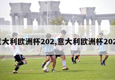 意大利欧洲杯202,意大利欧洲杯2020-第1张图片-