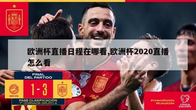 欧洲杯直播日程在哪看,欧洲杯2020直播怎么看-第1张图片-